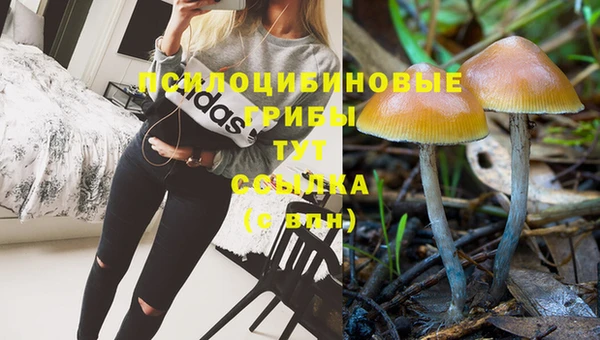 прущие крисы Белоозёрский