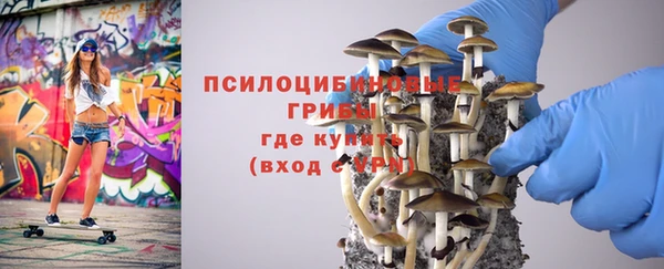 прущие крисы Белоозёрский