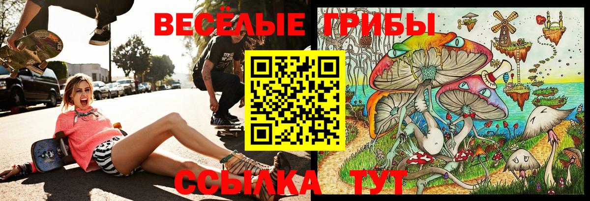 Богданович  Псилоцибиновые грибы мицелий  Вход с VPN 