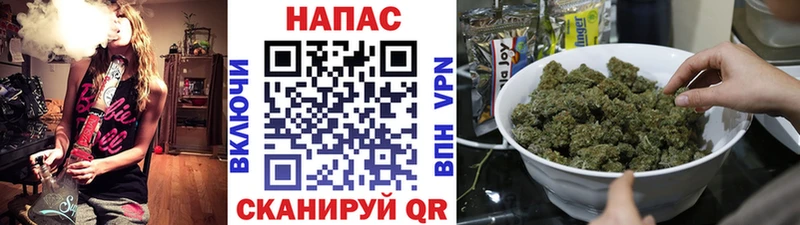 Конопля план  Богданович 