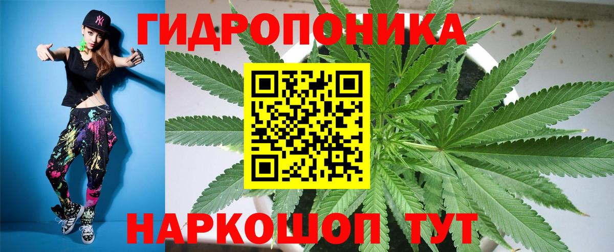 Богданович  Бошки марихуана VHQ  Конопля Amnesia  Вход с VPN  МАРИХУАНА ГИДРОПОН 
